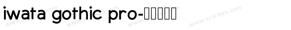 iwata gothic pro字体转换